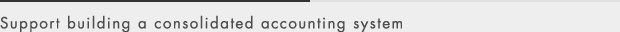 Support building a consolidated balance sheet system