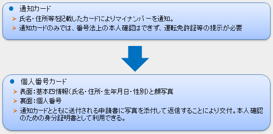カード