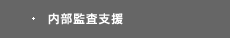 内部監査支援